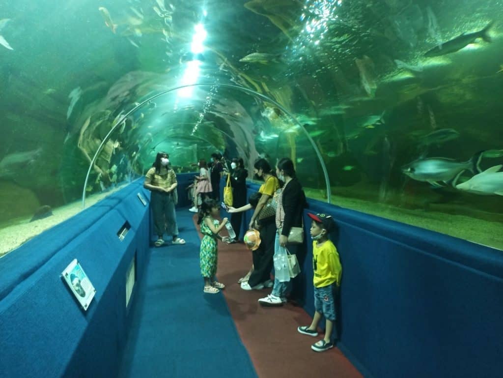 เที่ยวทะลุล้าน สวนสัตว์เชียงใหม่ ยอดรายได้ 12 ล้านบาทในรอบ 10 ปี เที่ยวทะลุล้าน สวนสัตว์เชียงใหม่ ยอดรายได้ 12 ล้านบาทในรอบ 10 ปี