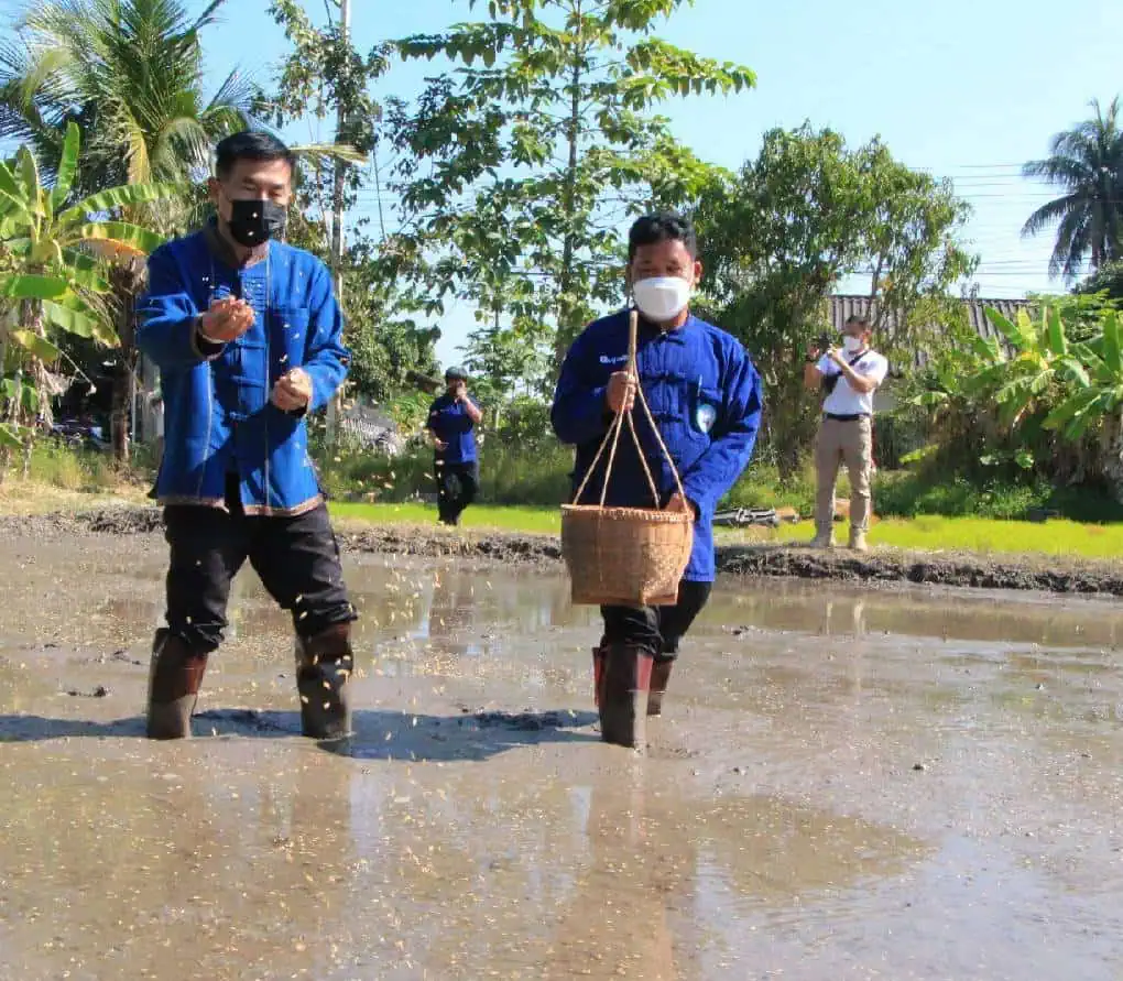 เกษตรเชียงใหม่ จัดพิธีทำขวัญข้าว เริ่มต้นฤดูกาลผลิตใหม่ ปี 66