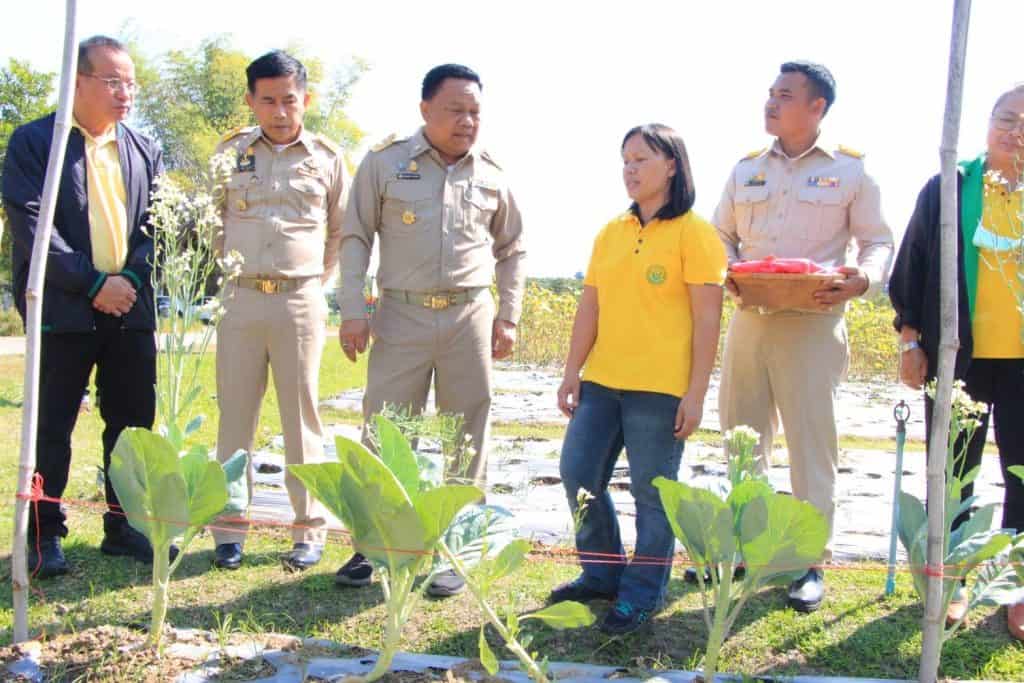 "เกษตรเขต 6" หนุนธนาคารเมล็ดพันธุ์สร้างความมั่นคงทางอาหาร "เกษตรเขต 6" หนุนธนาคารเมล็ดพันธุ์สร้างความมั่นคงทางอาหาร