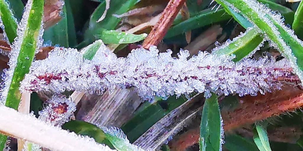 เกิดเหมยขาบ ต้อนรับวันแห่งความรัก กิ่วแม่ปาน 5 องศา เกิดเหมยขาบ ต้อนรับวันแห่งความรัก กิ่วแม่ปาน 5 องศา