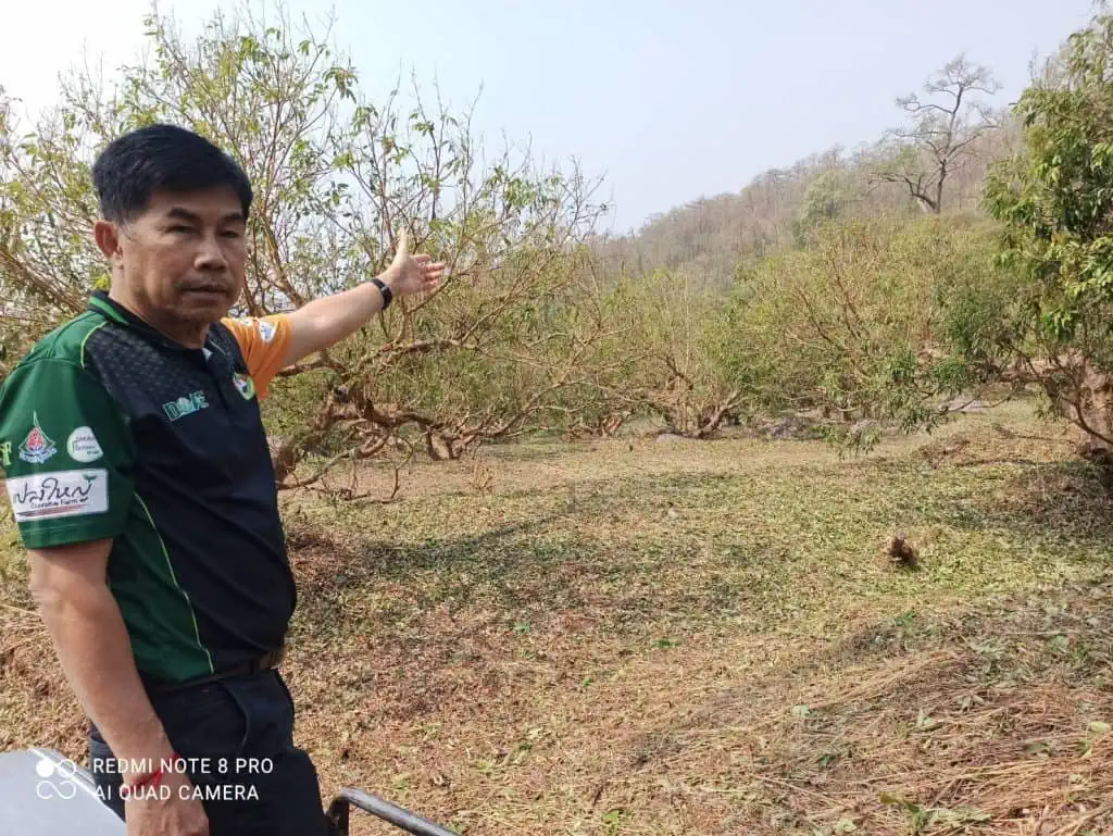 เกษตรจังหวัดเชียงใหม่ สั่ง 25 อำเภอ เร่งช่วยเหลือเกษตรกรที่ประภัย