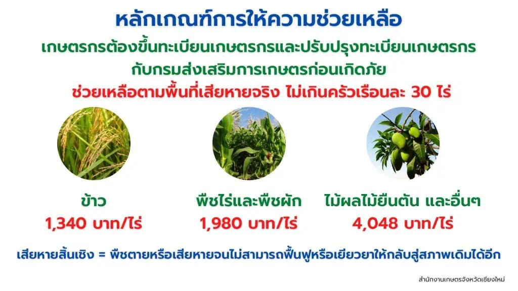 เกษตรจังหวัดเชียงใหม่ สั่ง 25 อำเภอ เร่งช่วยเหลือเกษตรกรที่ประภัย