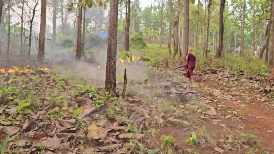 ดับไฟก่อนนะโยม ! "ครูบาโลงศพ" ช่วยดับไฟป่า ชาวบ้านช่วยสกัดไฟป่าเชียงดาว