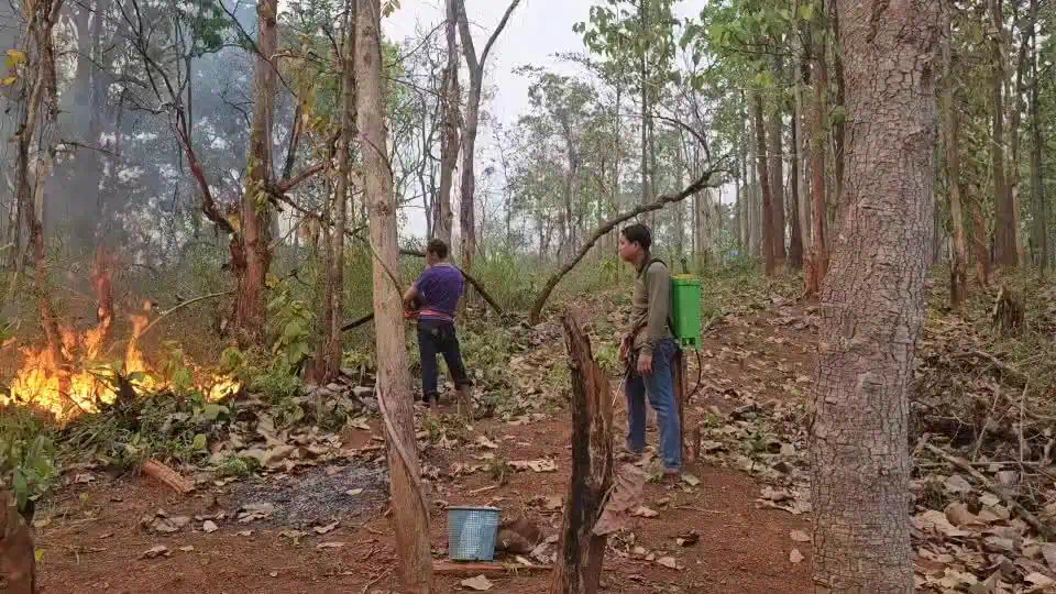 ดับไฟก่อนนะโยม ! "ครูบาโลงศพ" ช่วยดับไฟป่า ชาวบ้านช่วยสกัดไฟป่าเชียงดาว