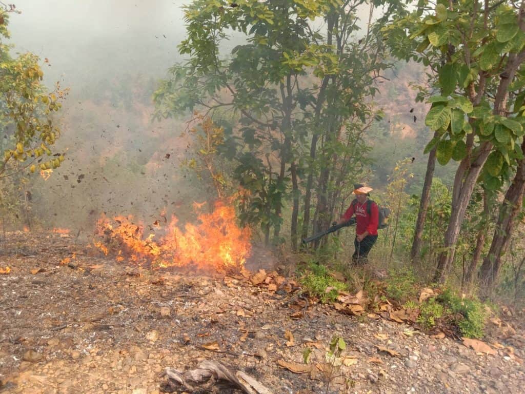 ไฟป่าเชียงใหม่พุ่ง 327 จุด เช้านี้รั้งที่ 3 เมืองอากาศแย่สุดของโลก ไฟป่าเชียงใหม่พุ่ง 327 จุด เช้านี้รั้งที่ 3 เมืองอากาศแย่สุดของโลก