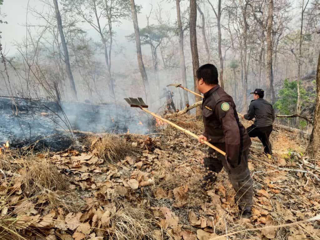 ไฟป่าเชียงใหม่พุ่ง 327 จุด เช้านี้รั้งที่ 3 เมืองอากาศแย่สุดของโลก ไฟป่าเชียงใหม่พุ่ง 327 จุด เช้านี้รั้งที่ 3 เมืองอากาศแย่สุดของโลก