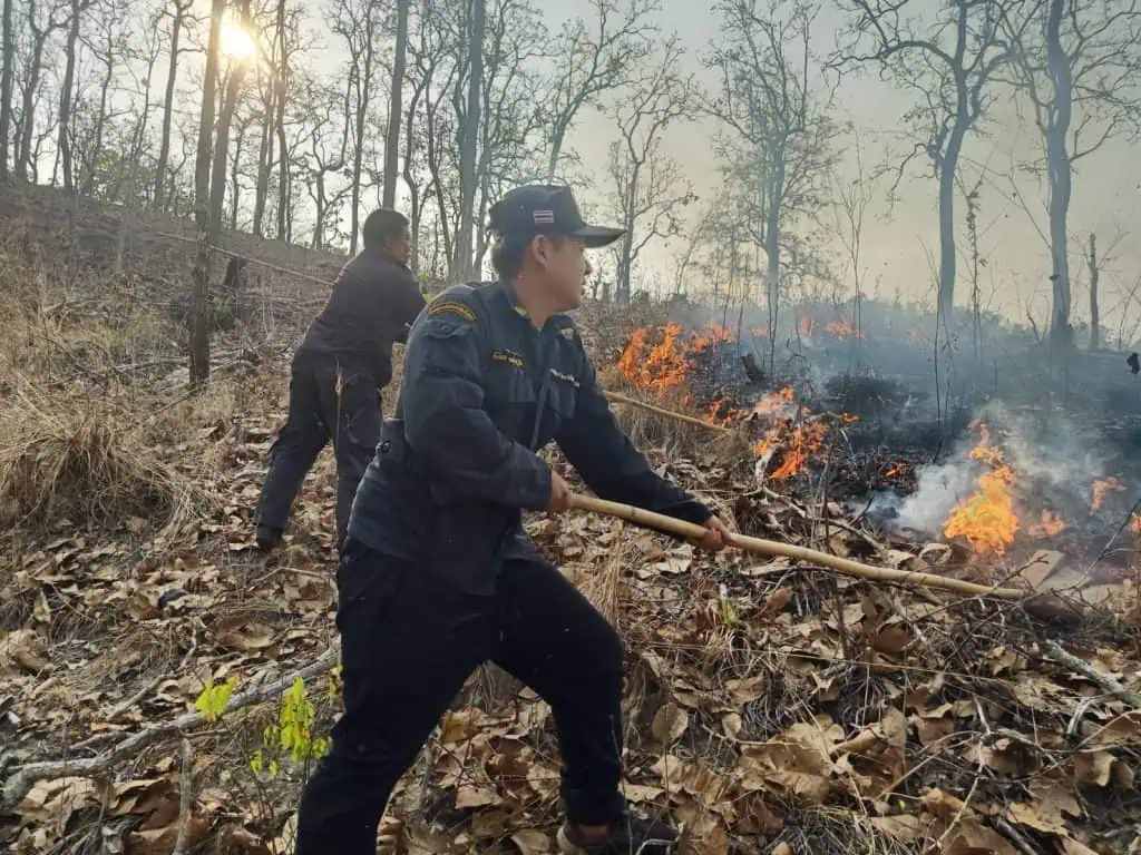 ไฟป่าเชียงใหม่พุ่ง 327 จุด เช้านี้รั้งที่ 3 เมืองอากาศแย่สุดของโลก