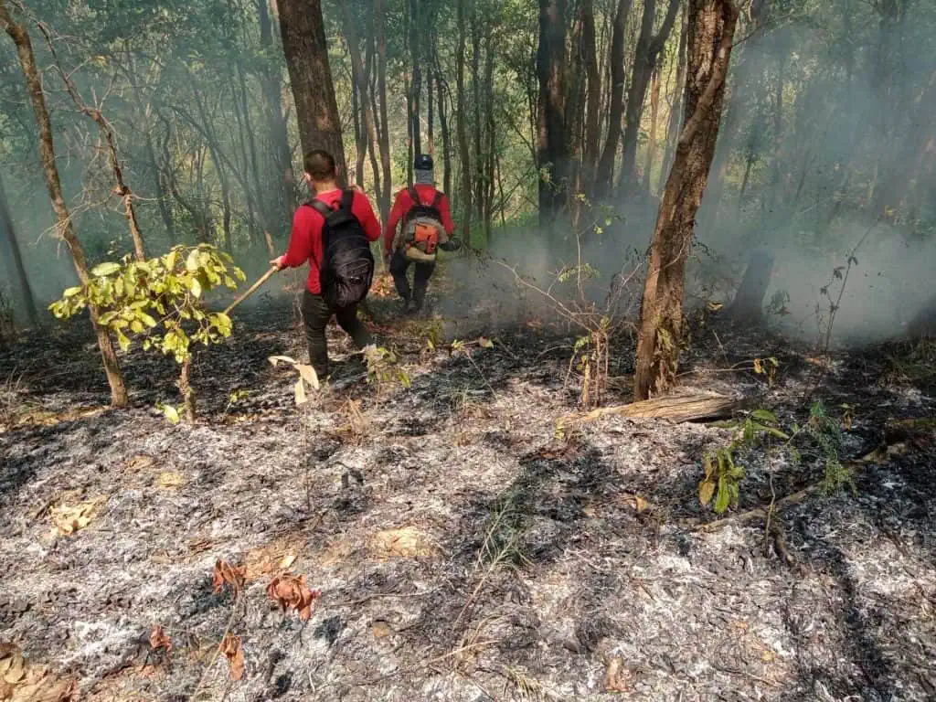 จุดความร้อนเชียงใหม่ลดฮวบ แต่ยังยืนหนึ่งเมืองอากาศแย่สุดของโลก