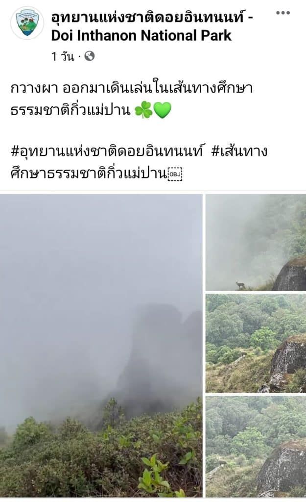 "ม้าเทวดา" อวดโฉมกลางทะเลหมอก ยอดดอยอินทนนท์ "ม้าเทวดา" อวดโฉมกลางทะเลหมอก ยอดดอยอินทนนท์