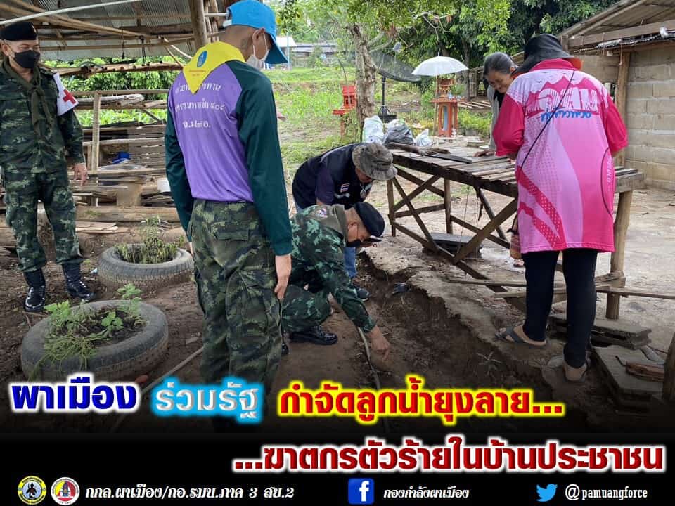 ผาเมืองร่วมรัฐกำจัดลูกน้ำยุงลาย ผาเมืองร่วมรัฐกำจัดลูกน้ำยุงลาย