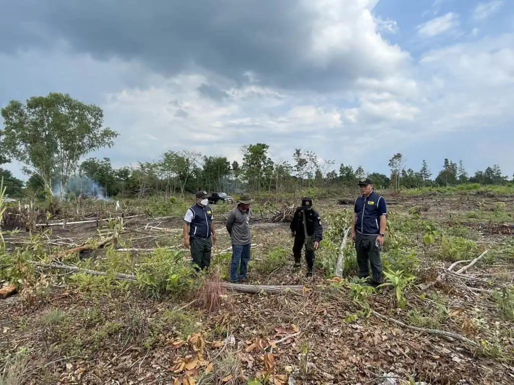 ตำรวจ ปทส บุกยึดพื้นที่ป่า หลังนายทุนจ้างชาวบ้านแผ้วถางรอออกเอกสารสิทธิ์