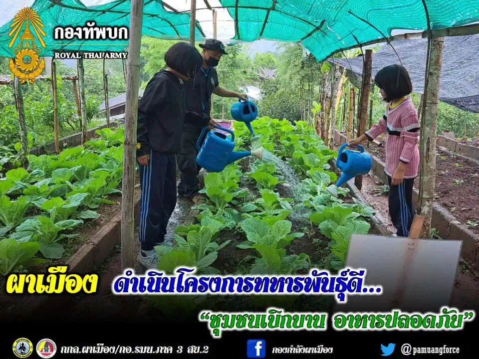 ผาเมือง ดำเนินโครงการทหารพันธุ์ดี “ชุมชนเบิกบาน อาหารปลอดภัย”