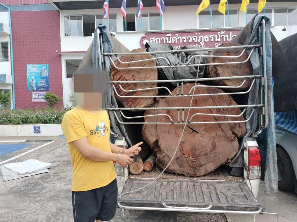 ผาเมือง จับ 2 ผู้ต้องหา ซุกซ่อนไม้ประดู่ ชายแดน จ.อุตรดิตถ์ ผาเมือง จับ 2 ผู้ต้องหา ซุกซ่อนไม้ประดู่ ชายแดน จ.อุตรดิตถ์