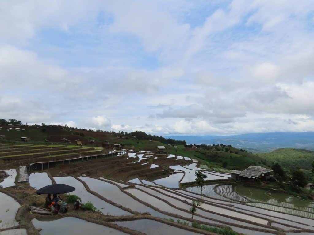 ได้ฤกษ์ทำนาขั้นบันได ชาวแม่แจ่มดำนาปลูกข้าว ได้ฤกษ์ทำนาขั้นบันได ชาวแม่แจ่มดำนาปลูกข้าว