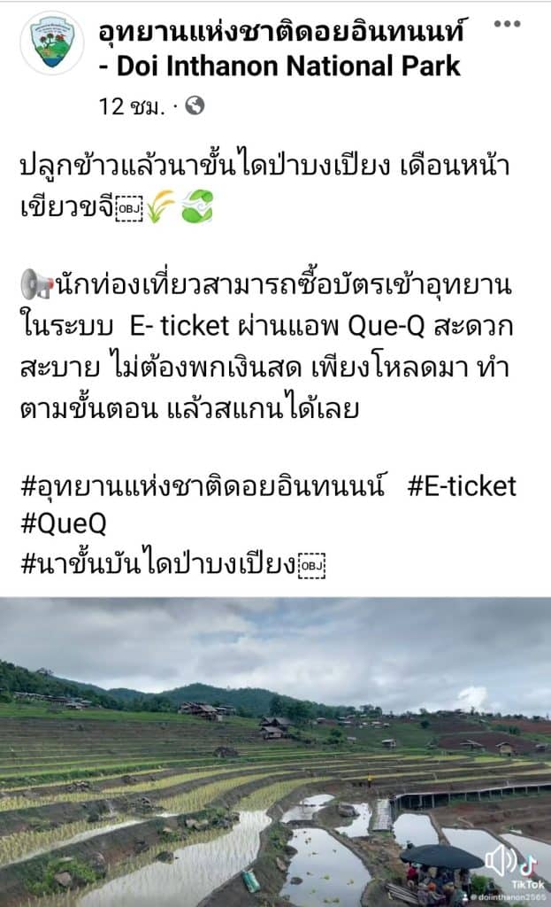 ได้ฤกษ์ทำนาขั้นบันได ชาวแม่แจ่มดำนาปลูกข้าว ได้ฤกษ์ทำนาขั้นบันได ชาวแม่แจ่มดำนาปลูกข้าว