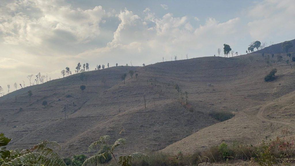 วีระศักดิ์ โควสุรัตน์ : ผ่านยุค Global Warming เพราะ’’ยุคGlobal Boiling ’’มาถึงแล้ว!! วีระศักดิ์ โควสุรัตน์ : ผ่านยุค Global Warming เพราะ’’ยุคGlobal Boiling ’’มาถึงแล้ว!!