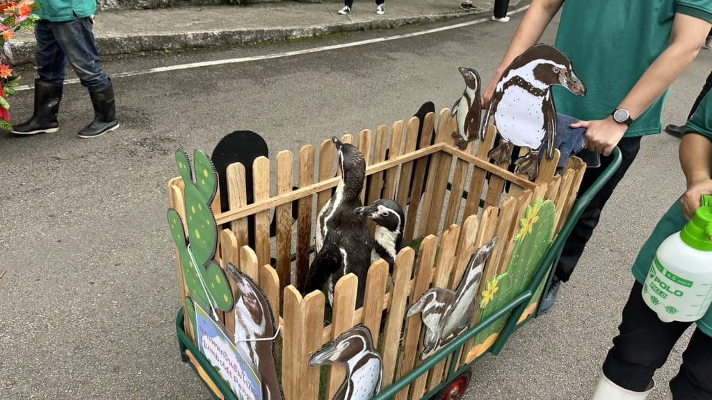 “สิงหาพาเหรด สัตว์น่ารัก” สวนสัตว์เชียงใหม่ จัดให้ชมทุกเสาร์-อาทิตย์ “สิงหาพาเหรด สัตว์น่ารัก” สวนสัตว์เชียงใหม่ จัดให้ชมทุกเสาร์-อาทิตย์