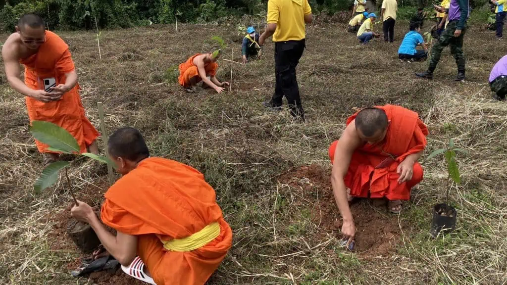 คืนป่าปลูกต้นไม้เฉลิมพระเกียรติ "พระพันปีหลวง"