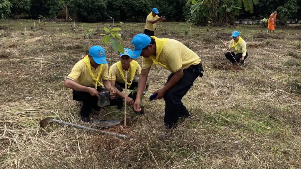 คืนป่าปลูกต้นไม้เฉลิมพระเกียรติ "พระพันปีหลวง"