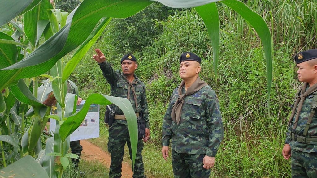 ผาเมือง ยึดยาบ้า 2 แสนเม็ด ที่อ.แม่ฟ้าหลวง จ.เชียงราย ผาเมือง ยึดยาบ้า 2 แสนเม็ด ที่อ.แม่ฟ้าหลวง จ.เชียงราย