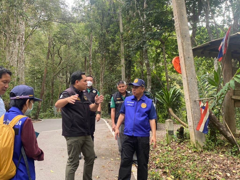 เตรียมปลูกซากุระเมืองไทยบนดอยสุเทพ-ปุย 1 หมื่นต้น เพิ่มปอดคนเชียงใหม่ เตรียมปลูกซากุระเมืองไทยบนดอยสุเทพ-ปุย 1 หมื่นต้น เพิ่มปอดคนเชียงใหม่