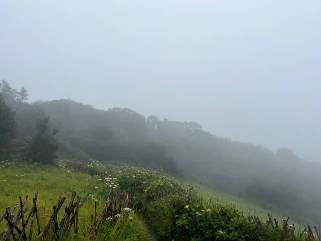 เปิดกิ่วแม่ปาน 1 พ.ย.นี้ กุหลาบพันปีบานสะพรั่ง เปิดกิ่วแม่ปาน 1 พ.ย.นี้ กุหลาบพันปีบานสะพรั่ง