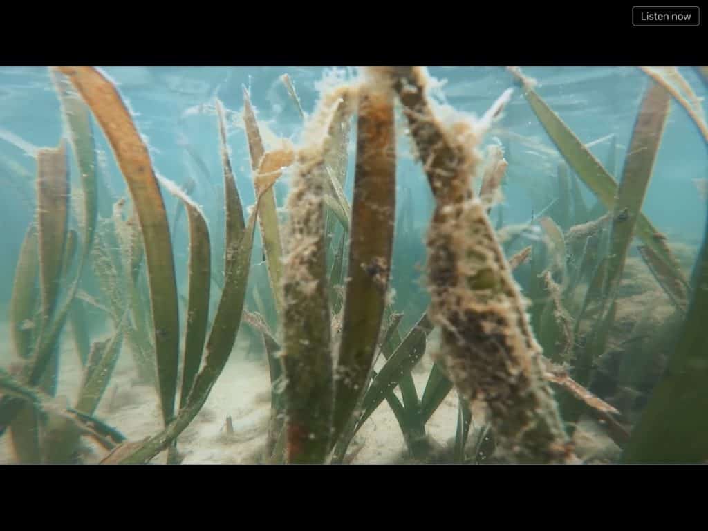 “วีระศักดิ์ โควสุรัตน์”มองเศรษฐกิจการท่องเที่ยวไทยอย่างยั่งยืน ในการบรรยายให้กับหลักสูตรนักบริหารระดับสูงธรรมศาสตร์เพื่อสังคม “วีระศักดิ์ โควสุรัตน์”มองเศรษฐกิจการท่องเที่ยวไทยอย่างยั่งยืน ในการบรรยายให้กับหลักสูตรนักบริหารระดับสูงธรรมศาสตร์เพื่อสังคม