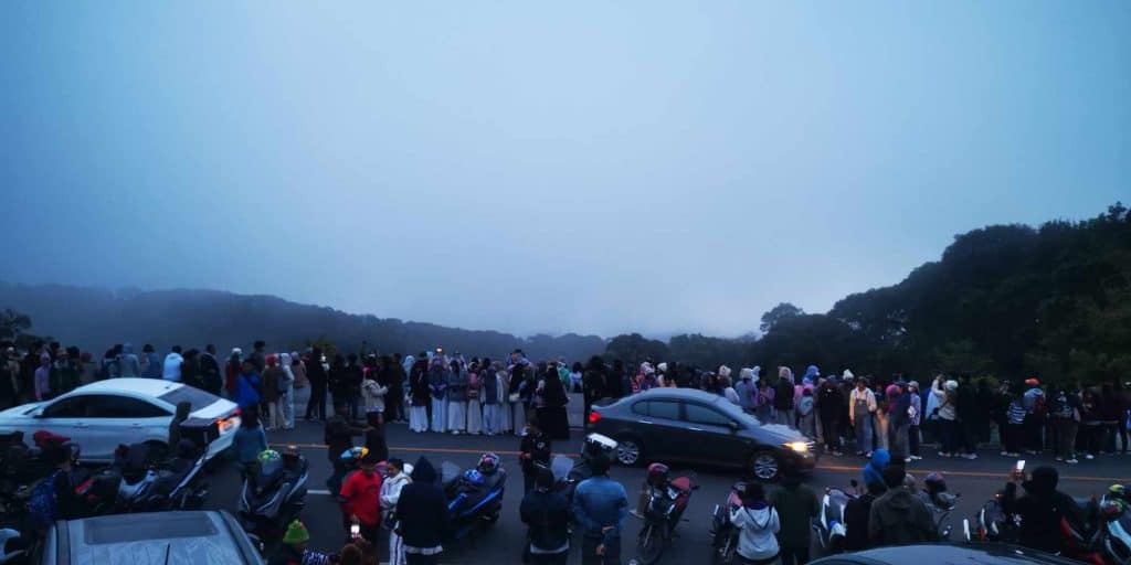 ดอยอินทนนท์คนแน่น แห่ชมเหมยขาบ ดอยอินทนนท์คนแน่น แห่ชมเหมยขาบ