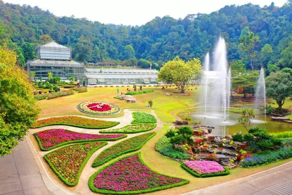 Botanic Festival 2024 สวนพฤกษศาสตร์ฯ จัดงานใหญ่แห่งปี