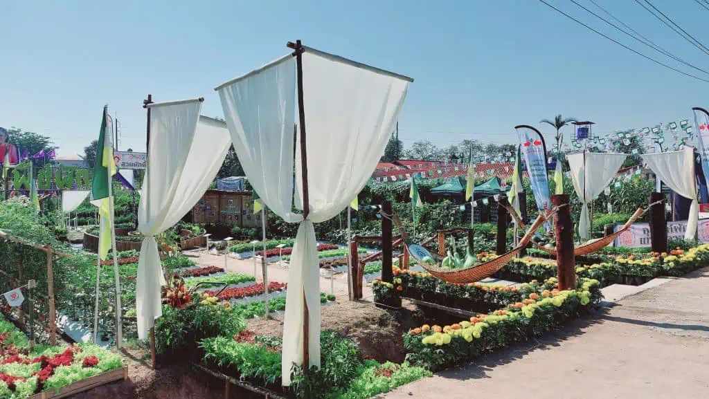 งานเกษตรแม่โจ้ 90 ปี ม.แม่โจ้จัดใหญ่ เกษตร อาหาร สุขภาพ