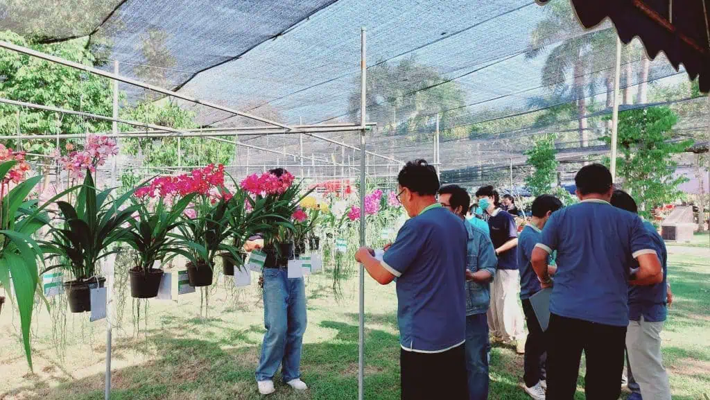 งานเกษตรแม่โจ้ 90 ปี ม.แม่โจ้จัดใหญ่ เกษตร อาหาร สุขภาพ