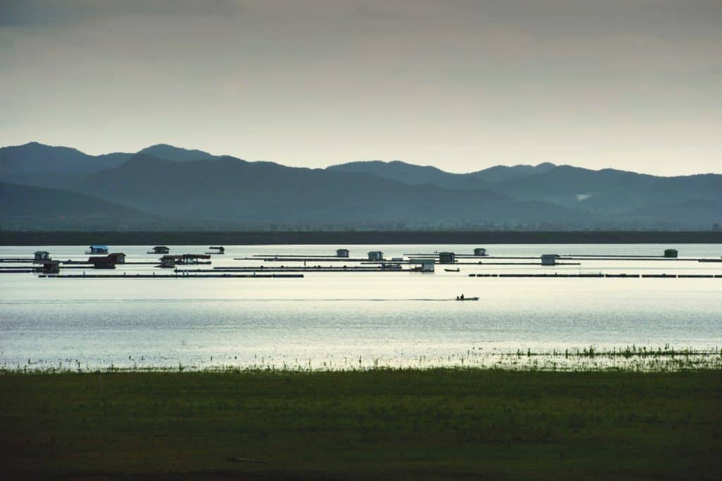 “365 วัน มหัศจรรย์เมืองไทยพร้อมเสิร์ฟ” ที่ภาคกลาง ชูอาหารอร่อยขึ้นชื่อ “365 วัน มหัศจรรย์เมืองไทยพร้อมเสิร์ฟ” ที่ภาคกลาง ชูอาหารอร่อยขึ้นชื่อ