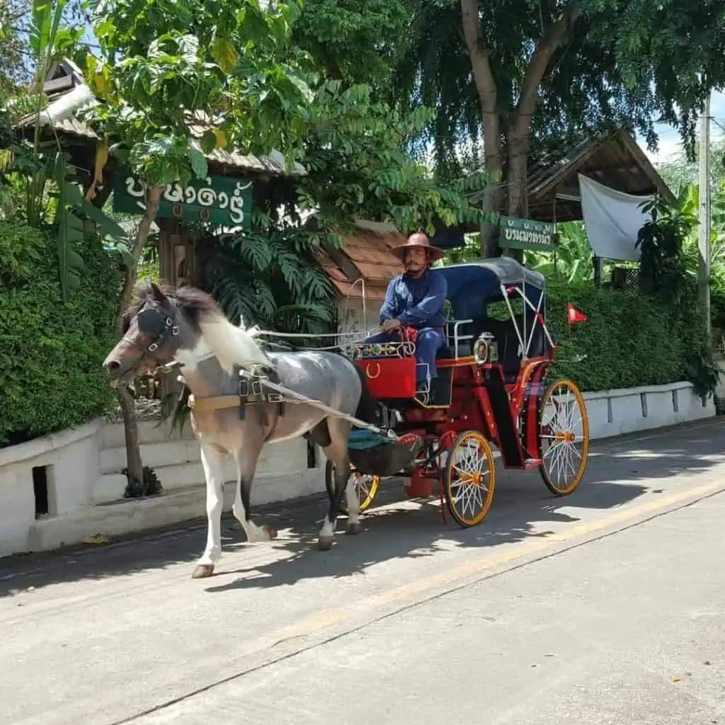 ททท.จัดกิจกรรมดึงนักท่องเที่ยวสายบุญเยือนสองนครล้านนา