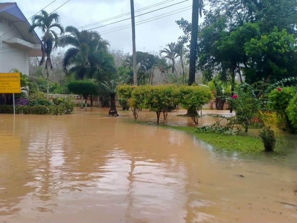 “ชลน่าน” เผย “พัทลุง-นราธิวาส” ระดับน้ำเริ่มลด รพ.สต.ยังปิดบริการ 1 แห่ง จัดทีมดูแลสุขภาพประชาชนต่อเนื่อง “ชลน่าน” เผย “พัทลุง-นราธิวาส” ระดับน้ำเริ่มลด รพ.สต.ยังปิดบริการ 1 แห่ง จัดทีมดูแลสุขภาพประชาชนต่อเนื่อง