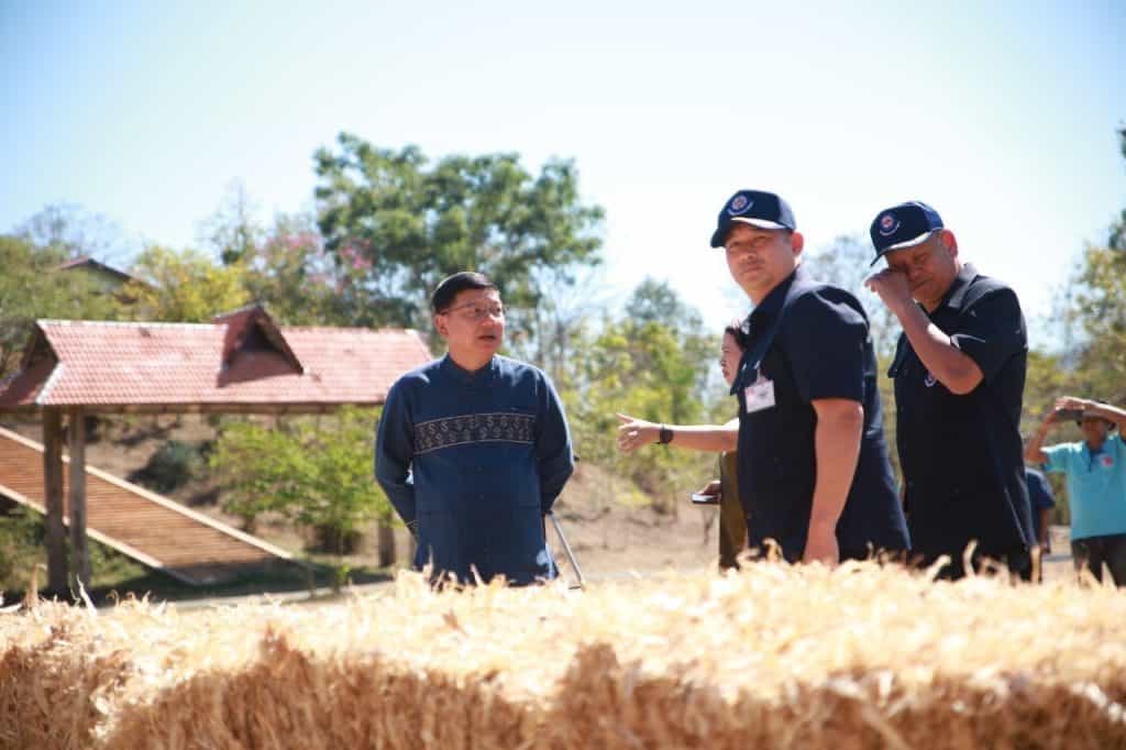 กองทัพภาค 3 ขนซังข้าวโพด มอบผู้เลี้ยงโค ไม่ต้องเผา แถมมีประโยชน์ กองทัพภาค 3 ขนซังข้าวโพด มอบผู้เลี้ยงโค ไม่ต้องเผา แถมมีประโยชน์