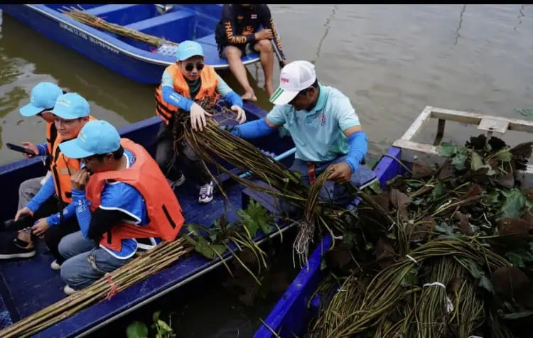 เนสท์เล่รวมพลังพนักงานจิตอาสาและพันธมิตร ฟื้นฟูระบบนิเวศพร้อมความหลากหลายทางชีวภาพ ต่อยอดโครงการอนุรักษ์แหล่งน้ำคลองขนมจีน