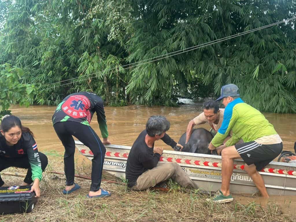 ‘ภูมิธรรม’ สั่งเหล่าทัพ ระดมกำลังช่วยเหลือผู้ประสบภัยเต็มที่ ย้ำศปช.สน. เฝ้าระวังติดตามสถานการณ์น้ำใกล้ชิด พร้อมเร่งดูแลบริบาลสัตว์ของมูลนิธิอนุรักษ์ช้างฯ ให้ปลอดภัย ‘ภูมิธรรม’ สั่งเหล่าทัพ ระดมกำลังช่วยเหลือผู้ประสบภัยเต็มที่ ย้ำศปช.สน. เฝ้าระวังติดตามสถานการณ์น้ำใกล้ชิด พร้อมเร่งดูแลบริบาลสัตว์ของมูลนิธิอนุรักษ์ช้างฯ ให้ปลอดภัย