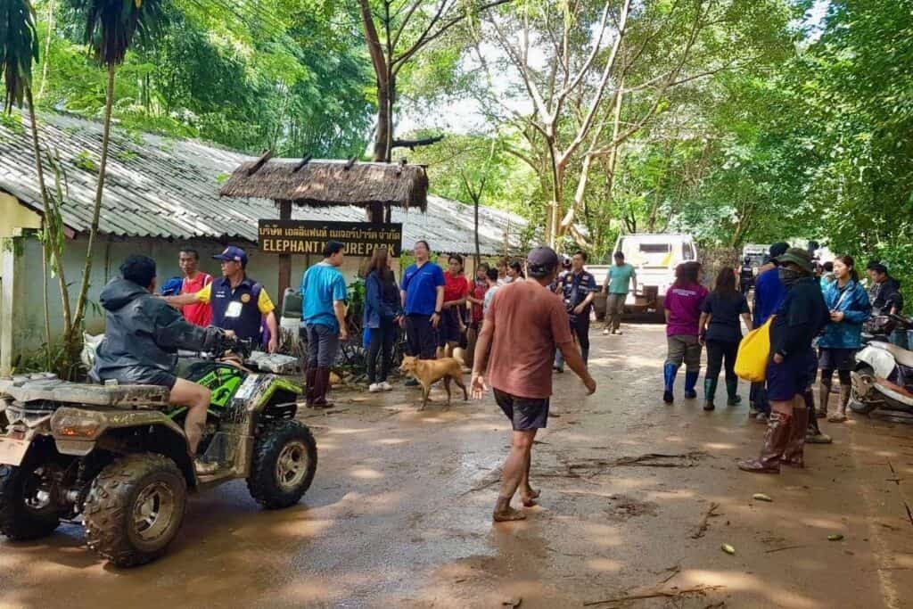 ทีมเชียงใหม่ รับรายงาน ช้าง แม่แตง ล้ม 2 เชือก ชี้น้ำท่วมครั้งนี้สูงเป็นประวัติการณ์ ประชาชนได้รับผลกระทบจำนวนมาก ทีมเชียงใหม่ รับรายงาน ช้าง แม่แตง ล้ม 2 เชือก ชี้น้ำท่วมครั้งนี้สูงเป็นประวัติการณ์ ประชาชนได้รับผลกระทบจำนวนมาก