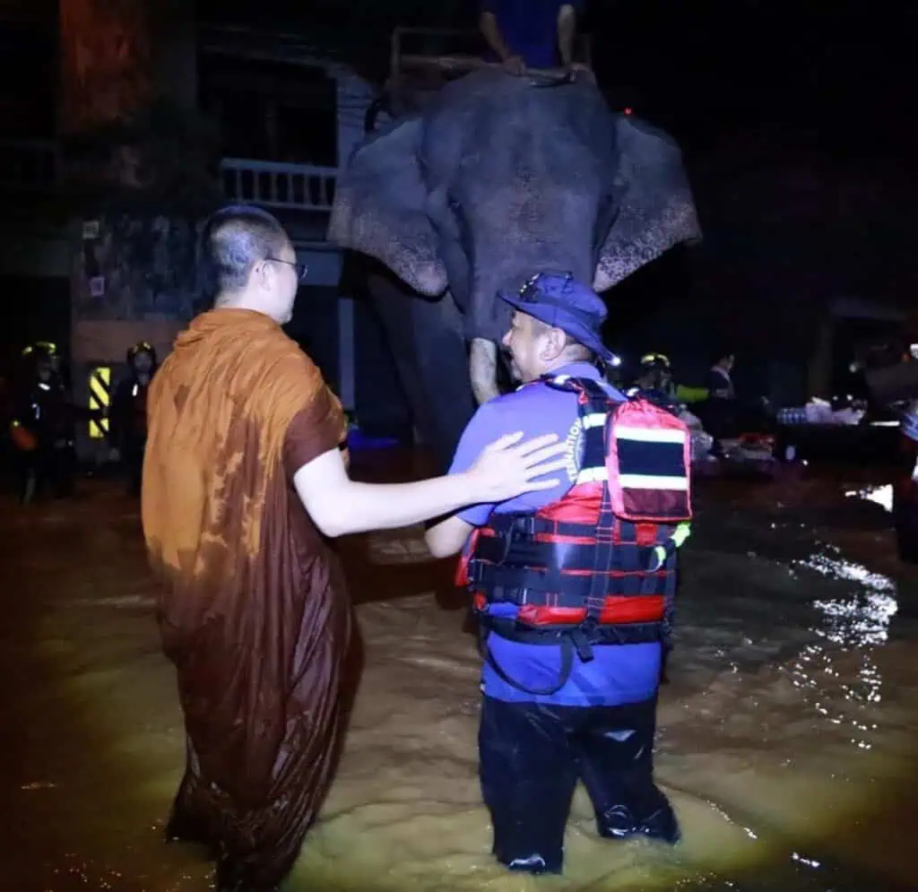 พระครูอ๊อด วัดเจดีย์หลวง นำช้างจากบ้านพักช้างตระกูลแสน มาลุยน้ำแจกของช่วยน้ำท่วม ที่ อ.สารภี จ.เชียงใหม่