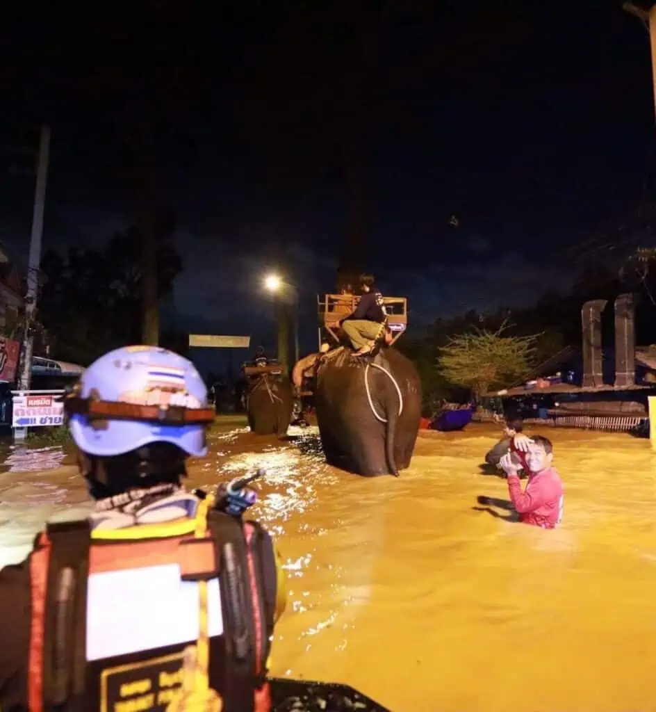 พระครูอ๊อด วัดเจดีย์หลวง นำช้างจากบ้านพักช้างตระกูลแสน มาลุยน้ำแจกของช่วยน้ำท่วม ที่ อ.สารภี จ.เชียงใหม่