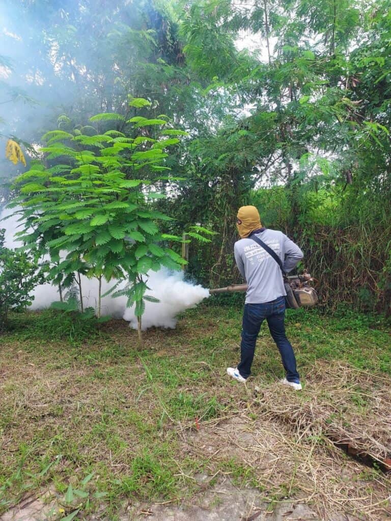 องค์กรปกครองส่วนท้องถิ่น จังหวัดนครปฐม ฉีดพ่นหมอกควันกำจัดยุงลาย ป้องกันโรคไข้เลือดออกระบาด หลังพบน้ำท่วมขังในหลายพื้นที่ องค์กรปกครองส่วนท้องถิ่น จังหวัดนครปฐม ฉีดพ่นหมอกควันกำจัดยุงลาย ป้องกันโรคไข้เลือดออกระบาด หลังพบน้ำท่วมขังในหลายพื้นที่