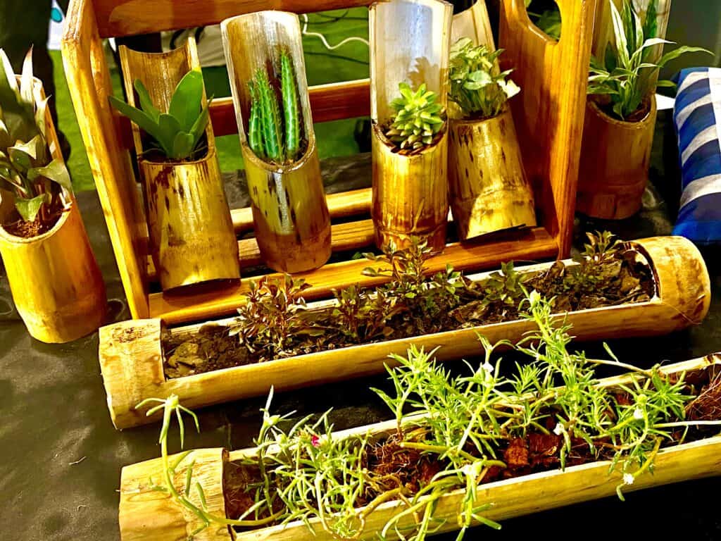 เกษตรศาสตร์ กำแพงแสน แถลงข่าว “งานเกษตรกำแพงแสน ประจำปี 2567” เกษตรศาสตร์ กำแพงแสน แถลงข่าว “งานเกษตรกำแพงแสน ประจำปี 2567”