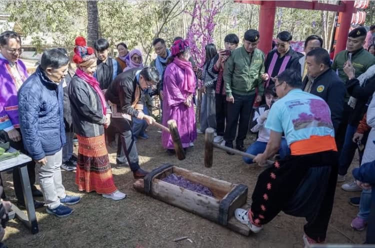 เทศกาลท่องเที่ยวหมู่บ้านสีชมพู เดินชมดอกซากุระ ชอปตลาดนัดเด็กดอย เทศกาลท่องเที่ยวหมู่บ้านสีชมพู เดินชมดอกซากุระ ชอปตลาดนัดเด็กดอย