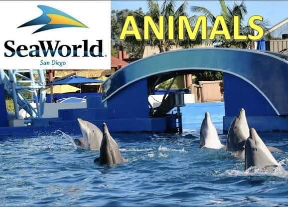 “อลงกรณ์”เสนอแนวคิด“ธีม พาร์ค คอมเพล็กซ์(Theme Park Complex)ทางเลือกใหม่ในการพัฒนาเศรษฐกิจอย่างยั่งยืน “อลงกรณ์”เสนอแนวคิด“ธีม พาร์ค คอมเพล็กซ์(Theme Park Complex)ทางเลือกใหม่ในการพัฒนาเศรษฐกิจอย่างยั่งยืน