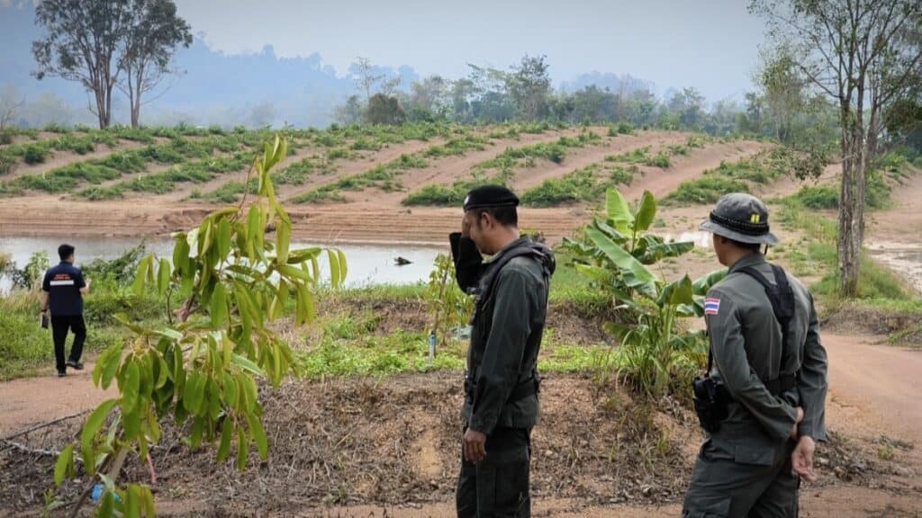 สว.ลุยเอาผิดทุนจีนรุกที่อ่างเก็บน้ำ ปลูกสวนทุเรียนกว่า 100 ไร่ จ่อรื้อถอน-ปลูกป่าฟื้นฟูธรรมชาติ สว.ลุยเอาผิดทุนจีนรุกที่อ่างเก็บน้ำ ปลูกสวนทุเรียนกว่า 100 ไร่ จ่อรื้อถอน-ปลูกป่าฟื้นฟูธรรมชาติ