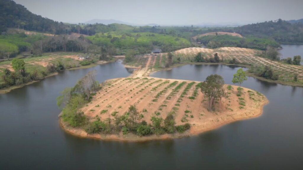 สว.ลุยเอาผิดทุนจีนรุกที่อ่างเก็บน้ำ ปลูกสวนทุเรียนกว่า 100 ไร่ จ่อรื้อถอน-ปลูกป่าฟื้นฟูธรรมชาติ สว.ลุยเอาผิดทุนจีนรุกที่อ่างเก็บน้ำ ปลูกสวนทุเรียนกว่า 100 ไร่ จ่อรื้อถอน-ปลูกป่าฟื้นฟูธรรมชาติ