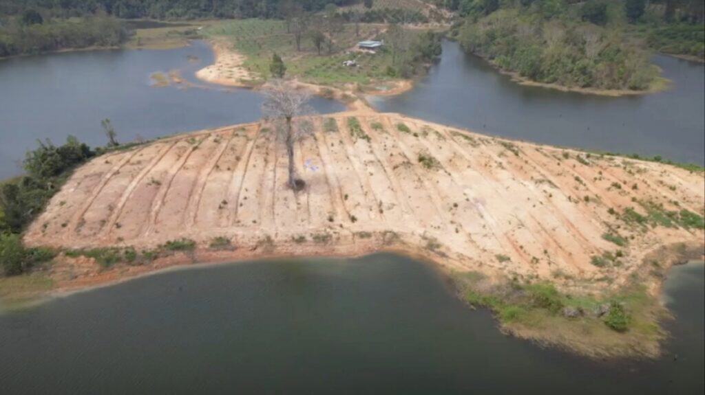 สว.ลุยเอาผิดทุนจีนรุกที่อ่างเก็บน้ำ ปลูกสวนทุเรียนกว่า 100 ไร่ จ่อรื้อถอน-ปลูกป่าฟื้นฟูธรรมชาติ สว.ลุยเอาผิดทุนจีนรุกที่อ่างเก็บน้ำ ปลูกสวนทุเรียนกว่า 100 ไร่ จ่อรื้อถอน-ปลูกป่าฟื้นฟูธรรมชาติ