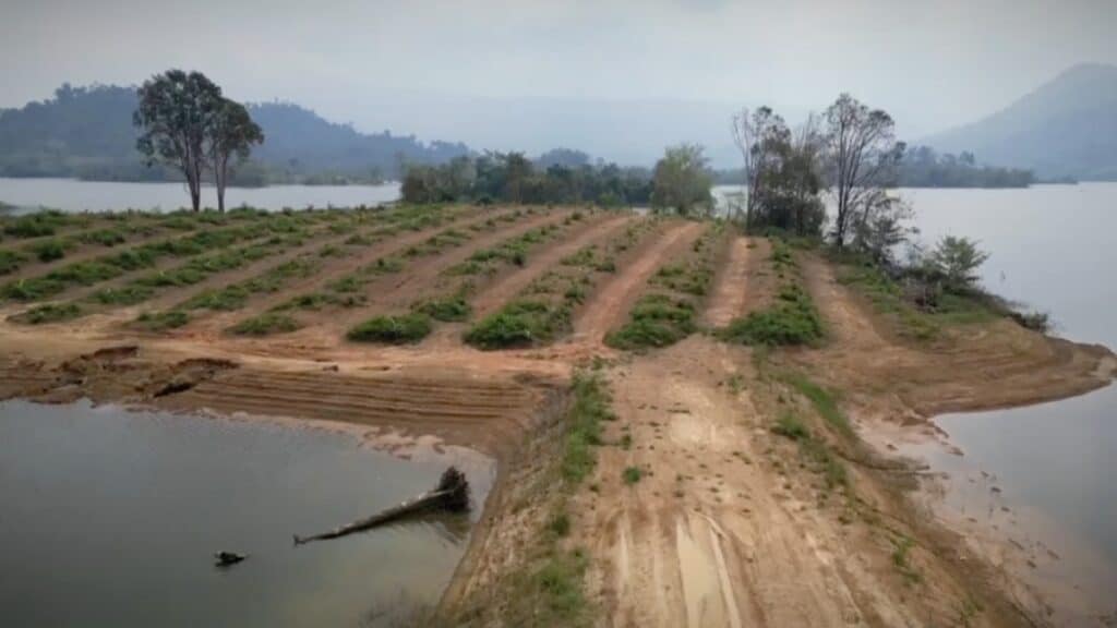 สว.ลุยเอาผิดทุนจีนรุกที่อ่างเก็บน้ำ ปลูกสวนทุเรียนกว่า 100 ไร่ จ่อรื้อถอน-ปลูกป่าฟื้นฟูธรรมชาติ สว.ลุยเอาผิดทุนจีนรุกที่อ่างเก็บน้ำ ปลูกสวนทุเรียนกว่า 100 ไร่ จ่อรื้อถอน-ปลูกป่าฟื้นฟูธรรมชาติ