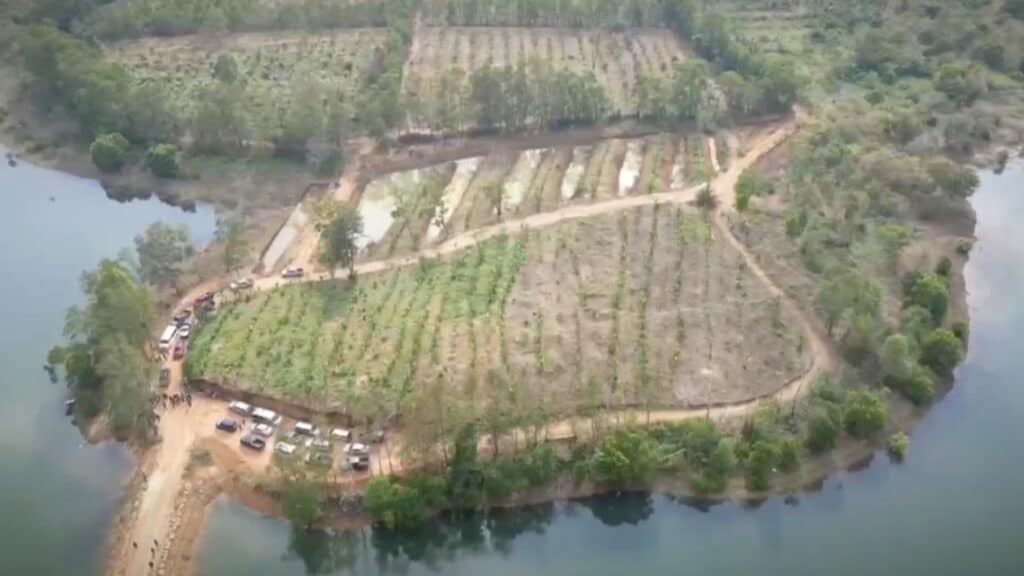 สว.ลุยเอาผิดทุนจีนรุกที่อ่างเก็บน้ำ ปลูกสวนทุเรียนกว่า 100 ไร่ จ่อรื้อถอน-ปลูกป่าฟื้นฟูธรรมชาติ สว.ลุยเอาผิดทุนจีนรุกที่อ่างเก็บน้ำ ปลูกสวนทุเรียนกว่า 100 ไร่ จ่อรื้อถอน-ปลูกป่าฟื้นฟูธรรมชาติ