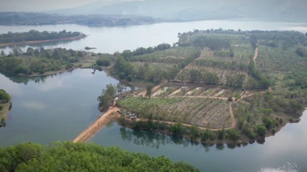 สว.ลุยเอาผิดทุนจีนรุกที่อ่างเก็บน้ำ ปลูกสวนทุเรียนกว่า 100 ไร่ จ่อรื้อถอน-ปลูกป่าฟื้นฟูธรรมชาติ สว.ลุยเอาผิดทุนจีนรุกที่อ่างเก็บน้ำ ปลูกสวนทุเรียนกว่า 100 ไร่ จ่อรื้อถอน-ปลูกป่าฟื้นฟูธรรมชาติ